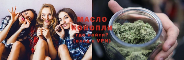 крисы Елабуга