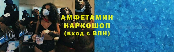индика Ельня