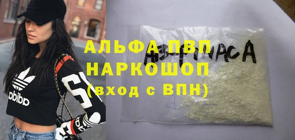 крисы Елабуга