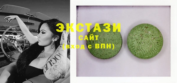 индика Ельня