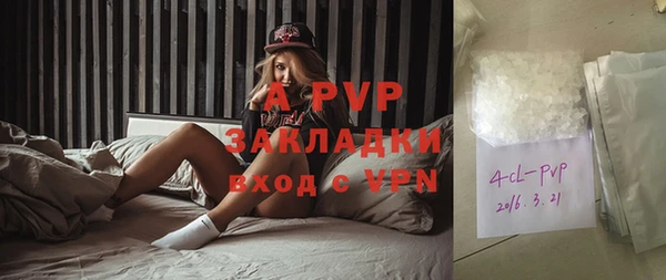 крисы Елабуга