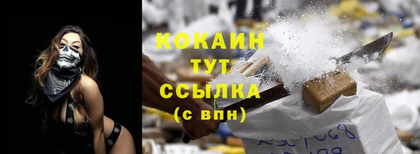 крисы Елабуга