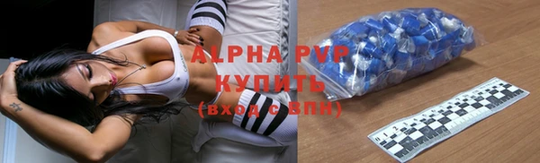 индика Ельня