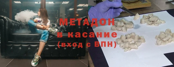 индика Ельня