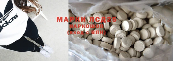 индика Ельня