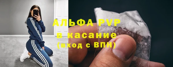 крисы Елабуга