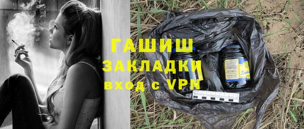 индика Ельня