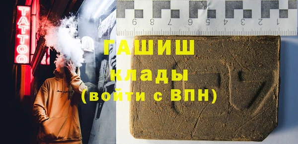 индика Ельня