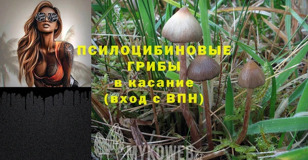 ГАЛЛЮЦИНОГЕННЫЕ ГРИБЫ Дмитров