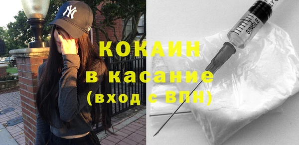крисы Елабуга