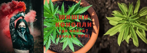 прущий лед Дмитриев