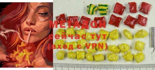 индика Ельня