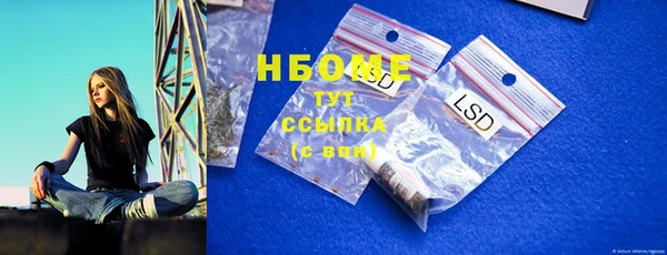 прущий лед Дмитриев