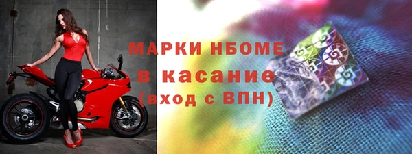 индика Ельня