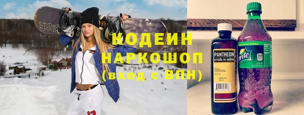 прущий лед Дмитриев