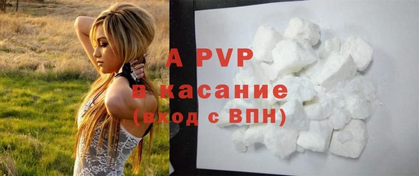 прущий лед Дмитриев